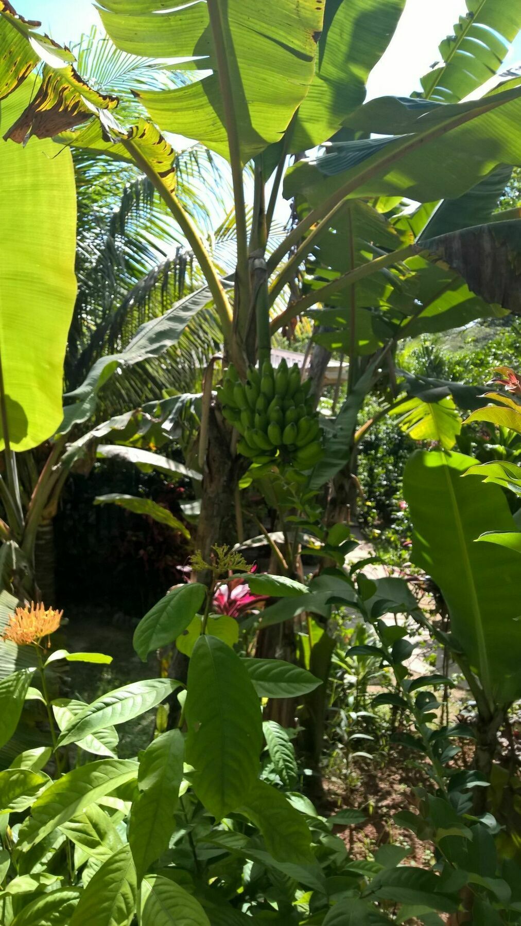 Cocotier Du Rocher La Digue Bagian luar foto