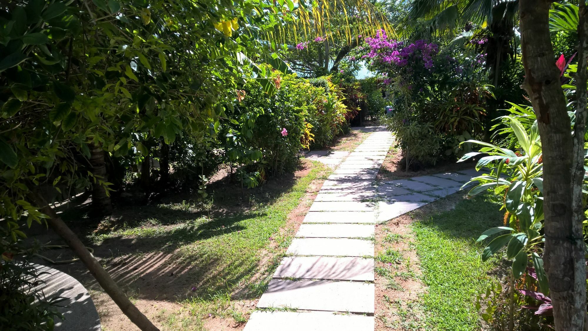 Cocotier Du Rocher La Digue Bagian luar foto