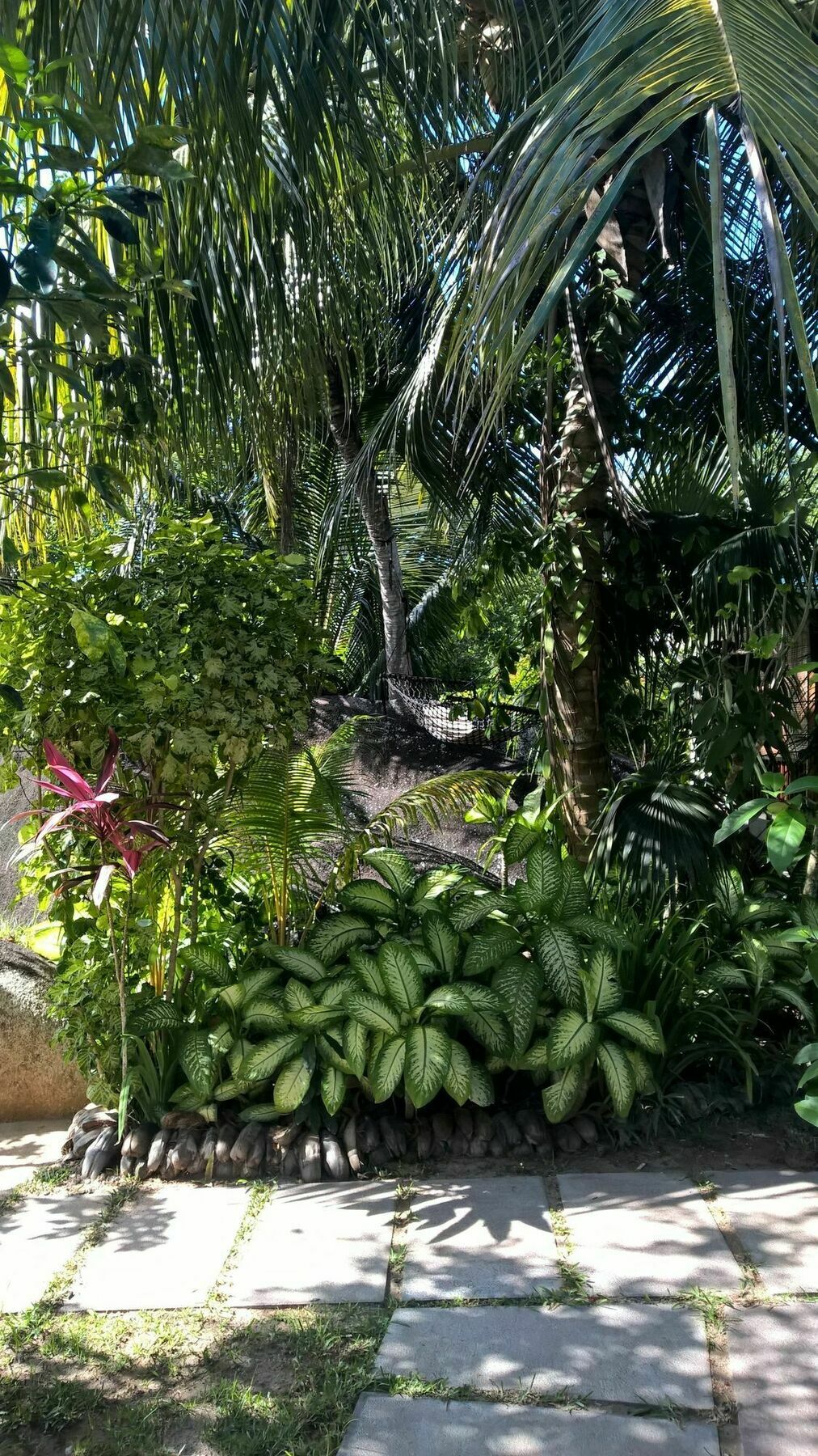 Cocotier Du Rocher La Digue Bagian luar foto