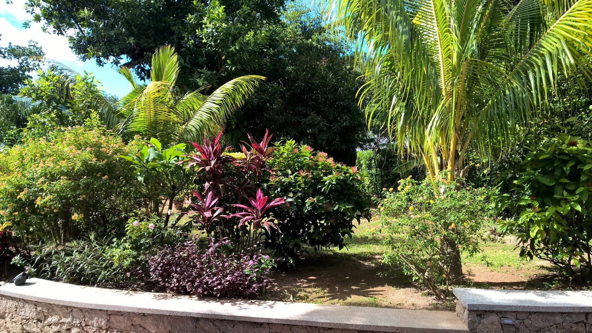 Cocotier Du Rocher La Digue Bagian luar foto