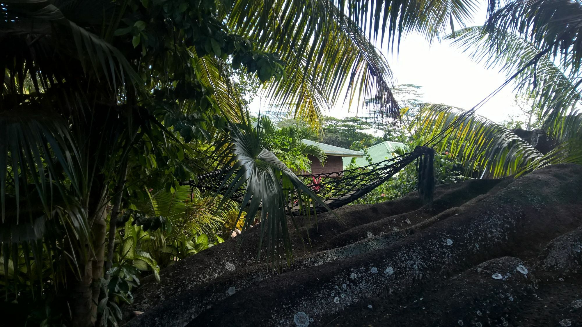 Cocotier Du Rocher La Digue Bagian luar foto