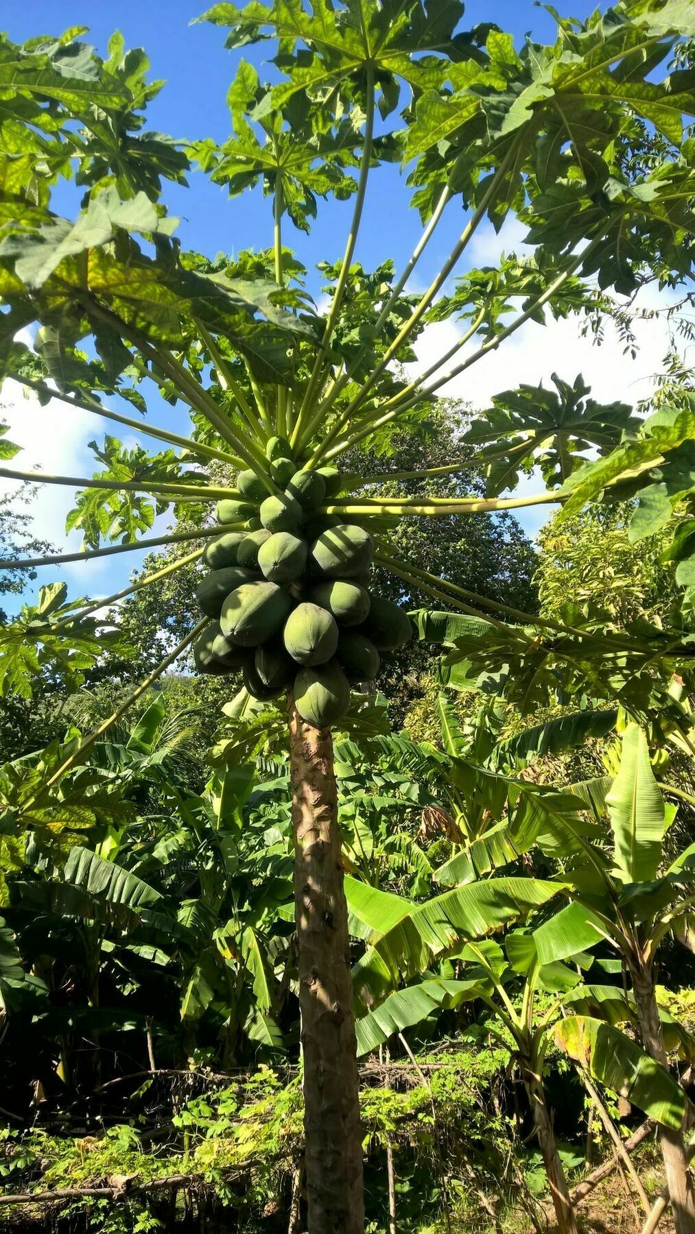 Cocotier Du Rocher La Digue Bagian luar foto