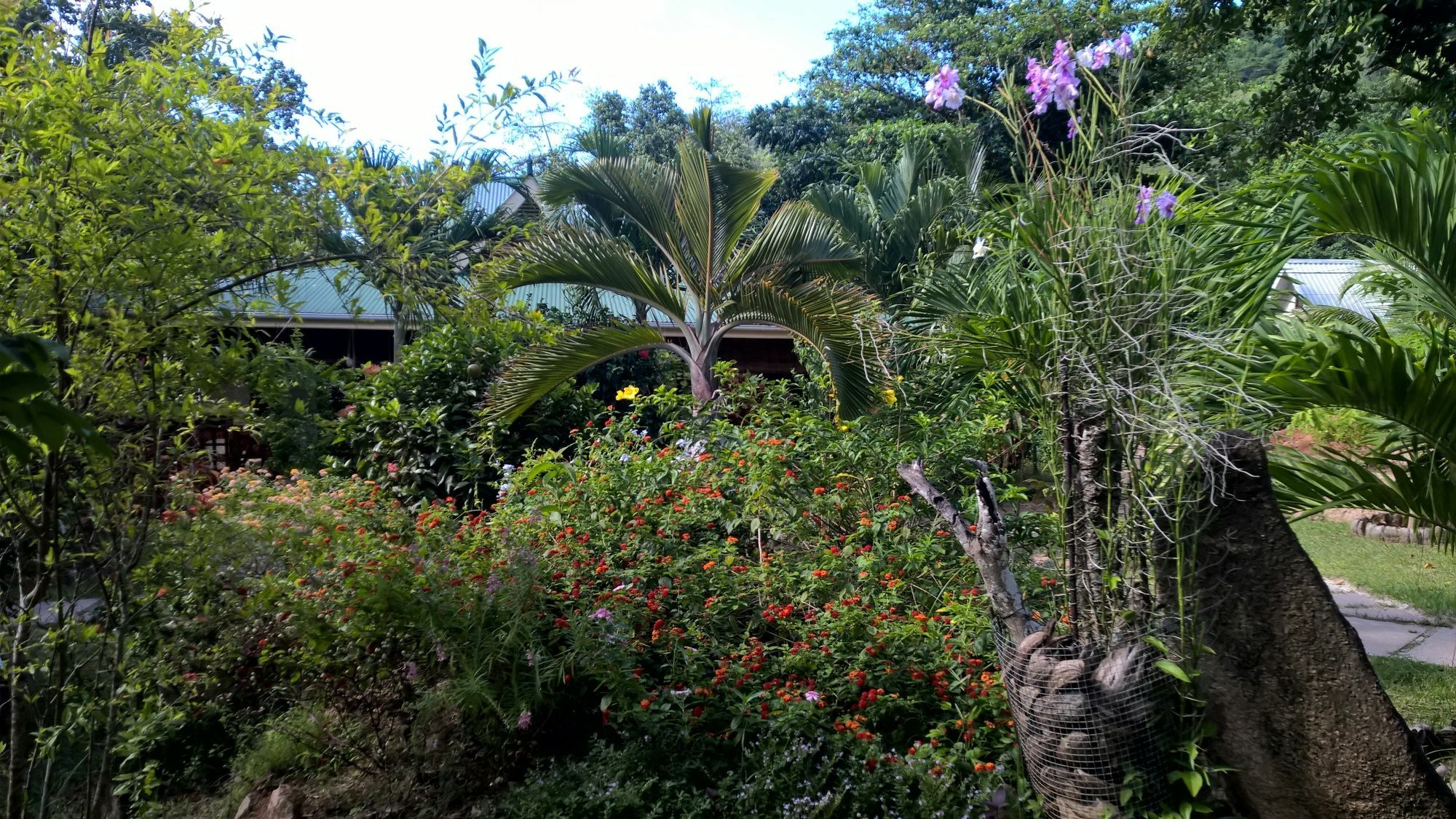 Cocotier Du Rocher La Digue Bagian luar foto