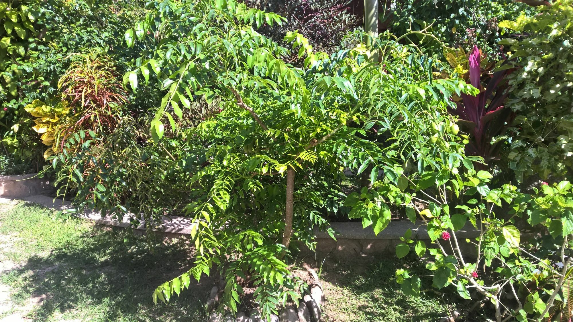 Cocotier Du Rocher La Digue Bagian luar foto