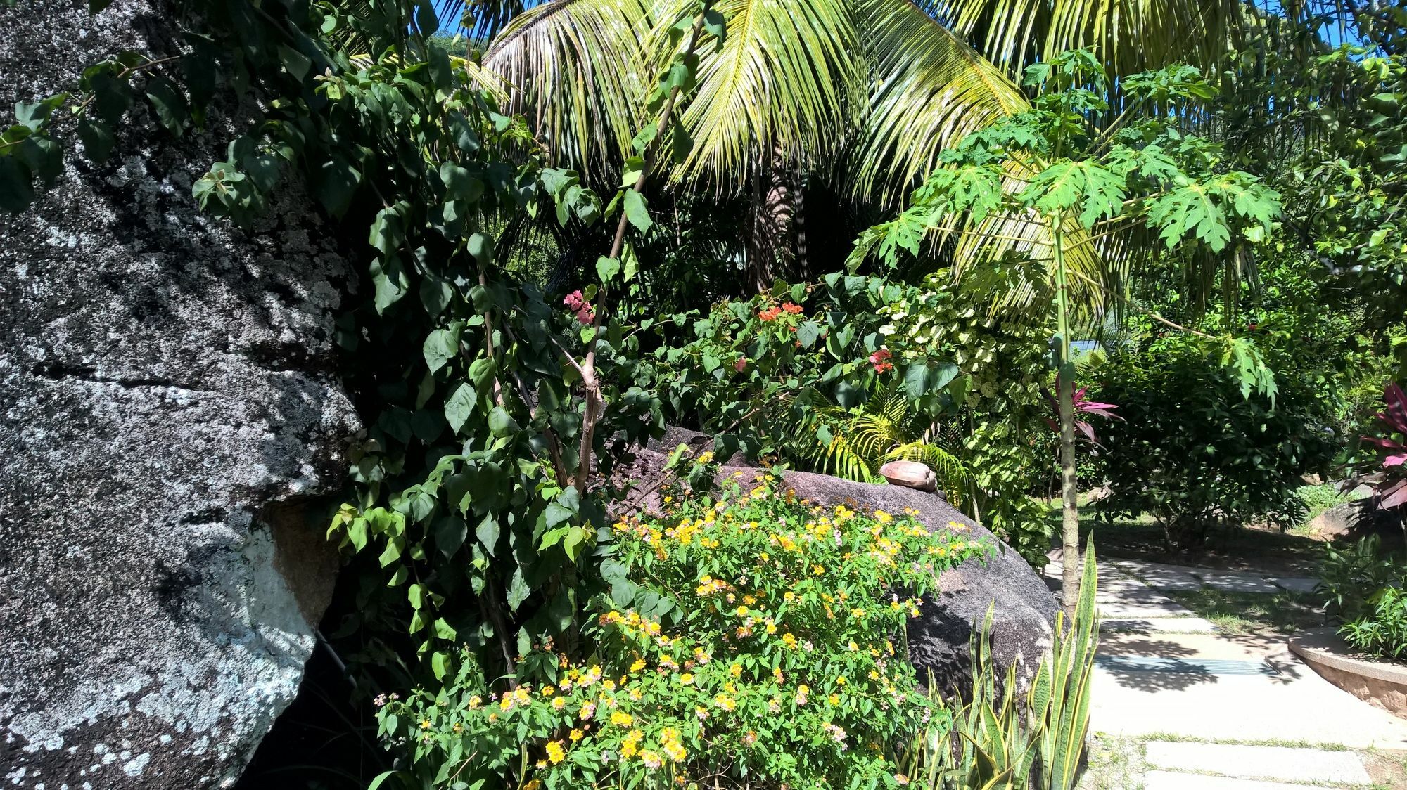 Cocotier Du Rocher La Digue Bagian luar foto