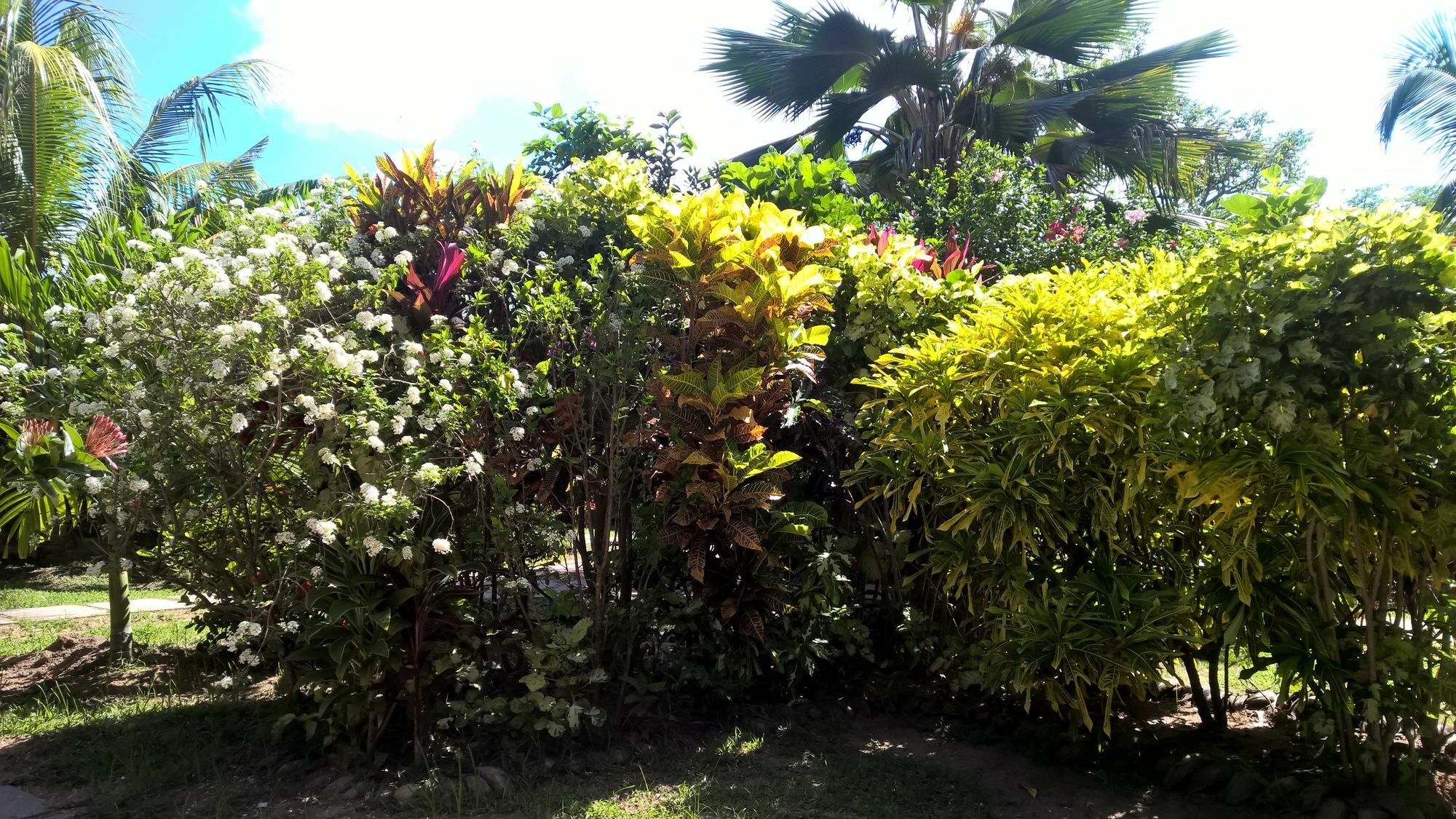 Cocotier Du Rocher La Digue Bagian luar foto